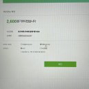 기어코 여름