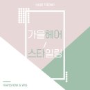 헤어쇼앤위그