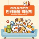 펫12 이미지