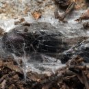 우주행정사 사무소 이미지