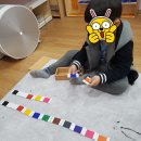 정관6로 이미지