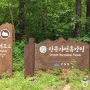 국립산음자연휴양림 이미지