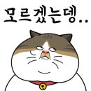 나인팜 네이버블로그