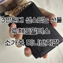 루체인알티스 | 3만원대 선물 추천 | 루체인알티스 소가죽 미니반지갑, 센스 있는 각인 선물 후기