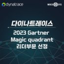 다이나비전 이미지