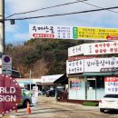 월드광고기획 이미지