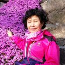 봉진농장 이미지