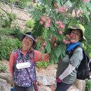 제703차, 월아산 정원박람회- 금호지둘레길을 걷는 행복한 모습들 이미지