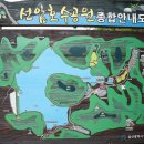 선암호수공원축구장 이미지