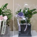 사랑채노인복지과 이미지