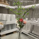 이케아 기흥점 이미지