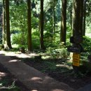 제주 물장오리오름 | [제주오름 산책 후기] 붉은오름 (표선면 가시리)