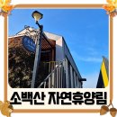 큰곰자리 | 단양 소백산 자연휴양림 정감록 큰곰자리 전망대 후기
