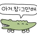 보보스인파라다이스 네이버블로그
