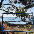 오천농협 공중화장실 | 제주올레 4코스 탐방후기