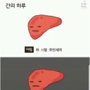 꼬숩 네이버블로그