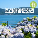 경남조선(주) | 경남 꽃구경 수국 인생샷 거제조선해양문화관 여름 거제도 갈만한곳