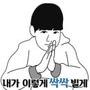 브리티시 클럽 이미지