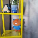 킹콩쥬스앤커피