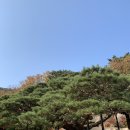 소풍경당감부암점 | [가을나들이/서울 단풍구경] 가을의 정취를 가득 느낄 수 있는 단풍명소 "석파정"