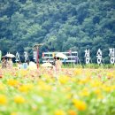 산소카폐 청송정원 (2) 이미지