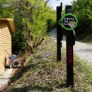 두손모아 반딧불이 이미지