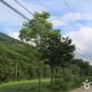 서면사무소(양양) 이미지