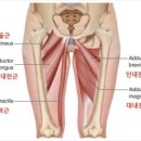 운동J GYM 이미지