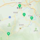 유림-1172 이미지