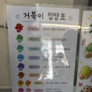 토이팩토리 | 부산 전포 소품샵 토이랩팩토리 🐢