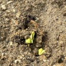 별이농장 이미지