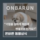 바른코프 네이버블로그