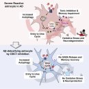 Re: reactive astrocyte --＞ 치매, 뇌전증, 척수손상, 비만 문제.. 이미지