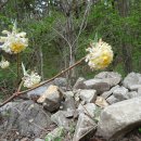 서북동마을 이미지