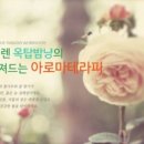 금아로마