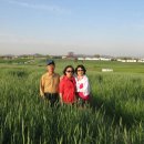 신진도드림 이미지