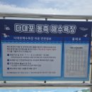 스트리트퍼니처 | 다대포 해수욕장 동측 해변 30년만에 재개장 방문후기