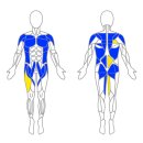 정진컨설팅 | 근육기능검사 및 재활컨설팅 후기