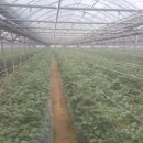 기찬농장 이미지