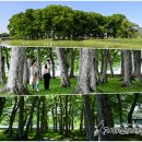 녹색관광정거장 이미지