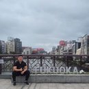 삼경빌딩 | 🍜 대구 옥포 중식 맛집 삼경반점 가족외식 후기 – 간짜장·산더미 탕수육 제대로 털고 온 날