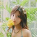 아틀란티스엔터테인먼트 이미지