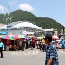 정선레일바이크자개골오토캠핑장주차장 옆 | (100) 가리왕산자연휴양림 - 정선장과 레일 바이크