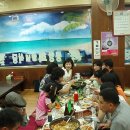 라우스 데오 이미지