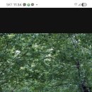 7월정기투어 우천취소(7월5일) 이미지
