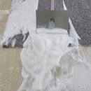 선학 세탁 이미지