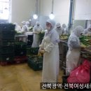 농업회사법인(주)그린피아 이미지