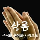 무괴아심 이미지