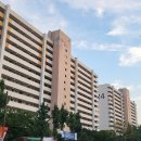 난지도 쓰레기장 옆 흙수저 아파트의 40년… 성산시영이 견뎌낸 서울 이미지
