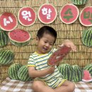 7월 16일 잎새, 나무반 수박데이 포토존🍉 이미지